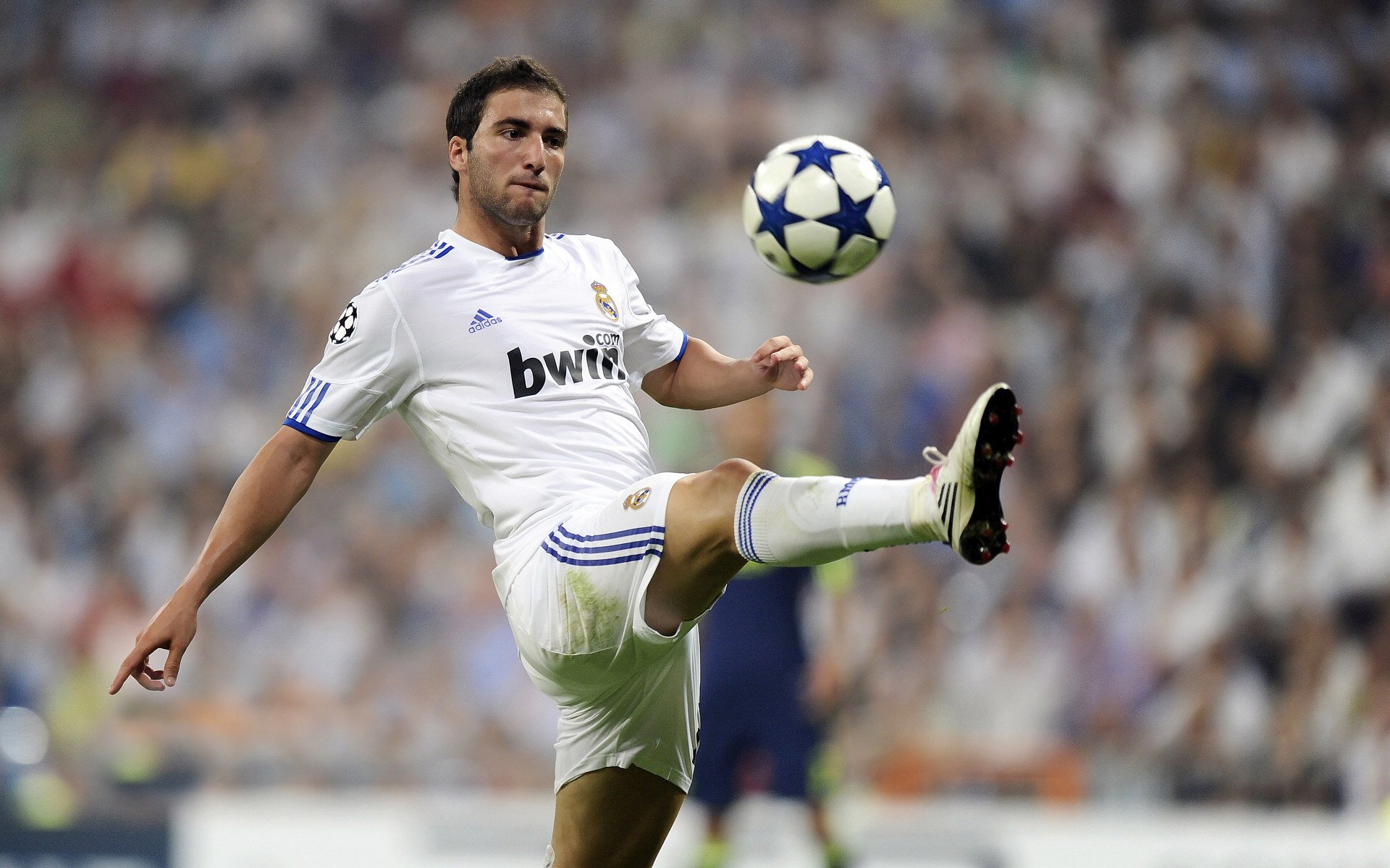 红牛二队轻取阿斯顿马丁,皮亚斯特里扛起全队